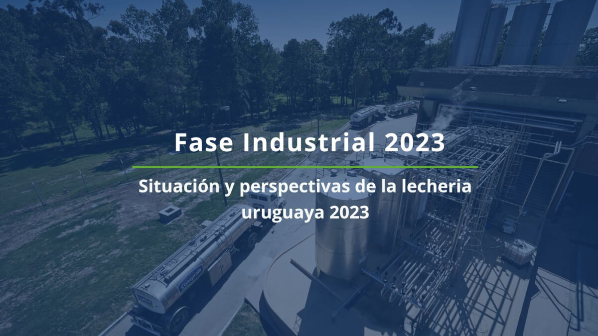 Situación y perspectivas 2023 Fase Industrial Inale